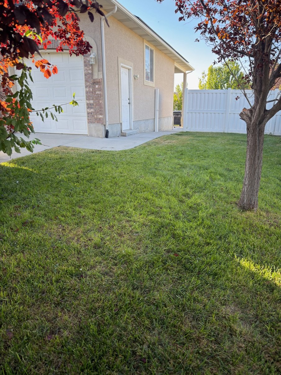 Clean, cleared lawn after tree branch and yard debris removal by Jay's Local Junk Removal